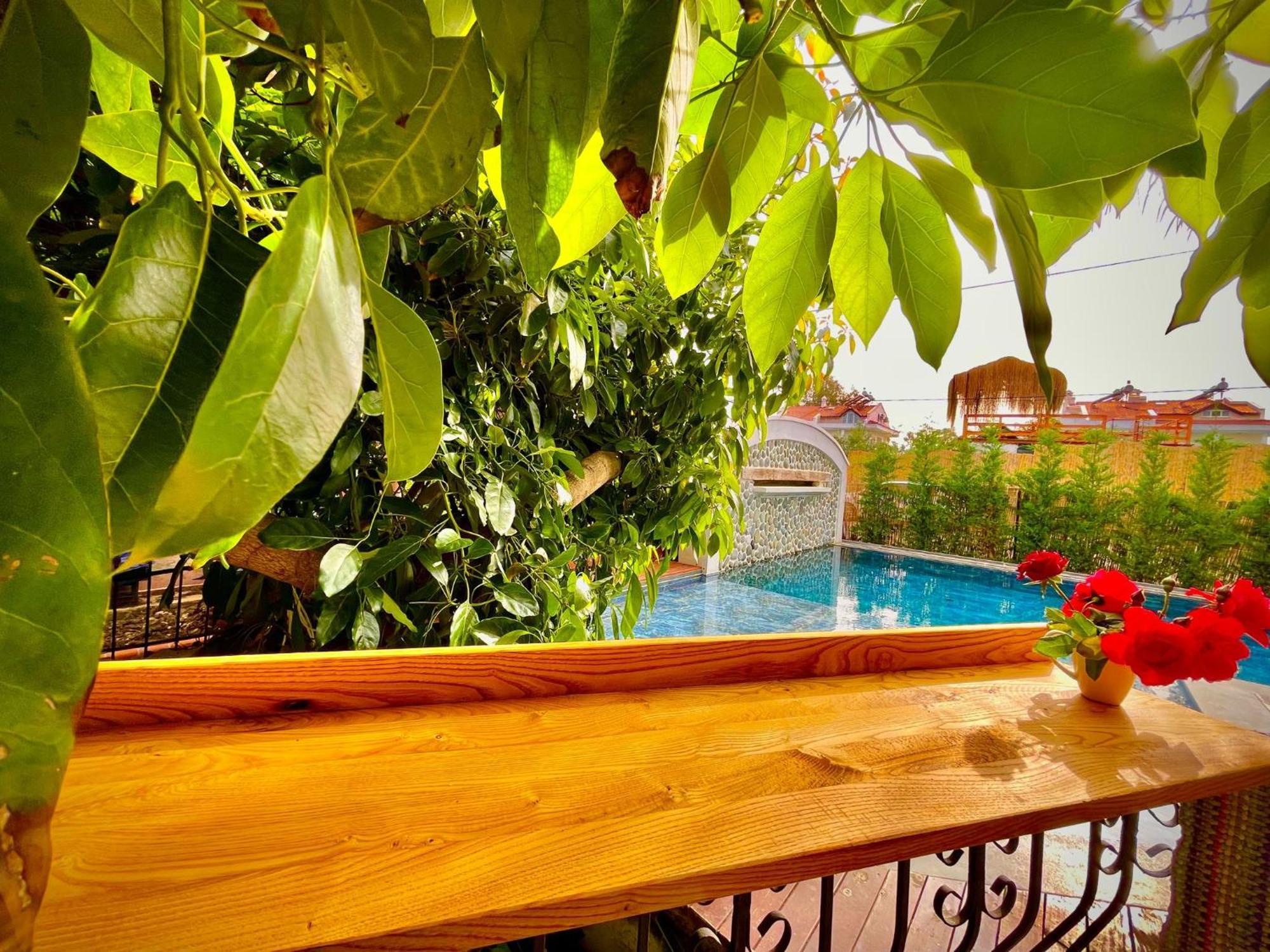 Apartment Telmessos Fethiye